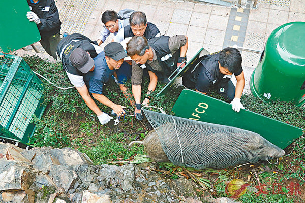 �����@�p�H����÷���⳥�ޥ;�C�����׳��O�̼B�ͥ�  ��