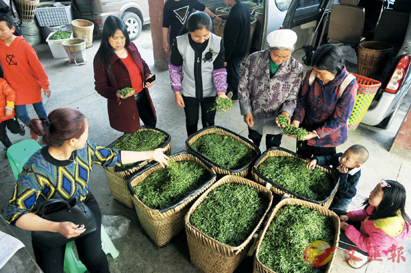 ���Q�{�`�׳h�x���ۧӧ�������Q�A���u����賡�ͺA�����Ĥ@���v���֮�����u�����g�v�C���ñ�q�u�������ߨ�ĳ�ѡv�A�}�i�u�P�Y�P���P�ҰʡA�{������Сv�������߬��ʡC�Ϭ���������@�_�X����ѱĺK�����C�C��ƹϤ�