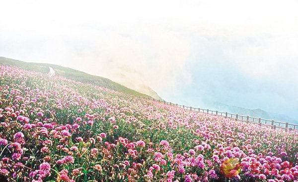 �����`������������W�A�O�Q�{�̰��p�C ��ƹϤ�