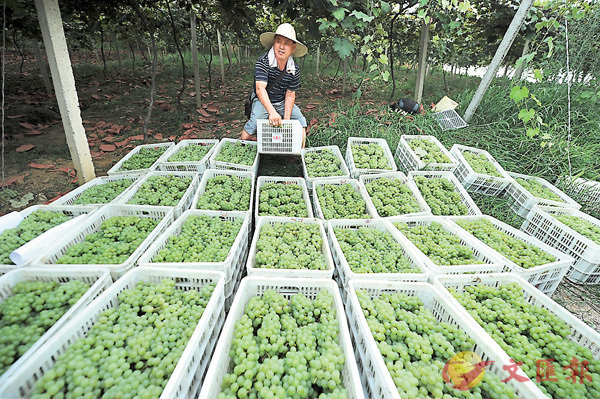 �����A�Q�{�ɫ̤�������m�u�A�v�W���C��~�ӡA�ɫ̿��j�O�o�i���s�ͺA���G�A�����s�ϹA����h�W�������n���~�C �s�ت�