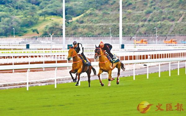 �i���F�]���U�^�����ɻP��a�T�b�q�ư��ǰV�m���ߪ���a�]�D�W�����޽m�C