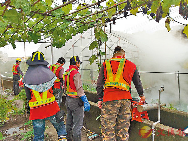 ���x�W�n�����̱��ɷšA�Q��A�W7�v�A�䤤6�v���A�x���j���}�߹A���C�Ϭ��x�����F���i�}�j�W�ҼQ�Ĩ��v�C    ������