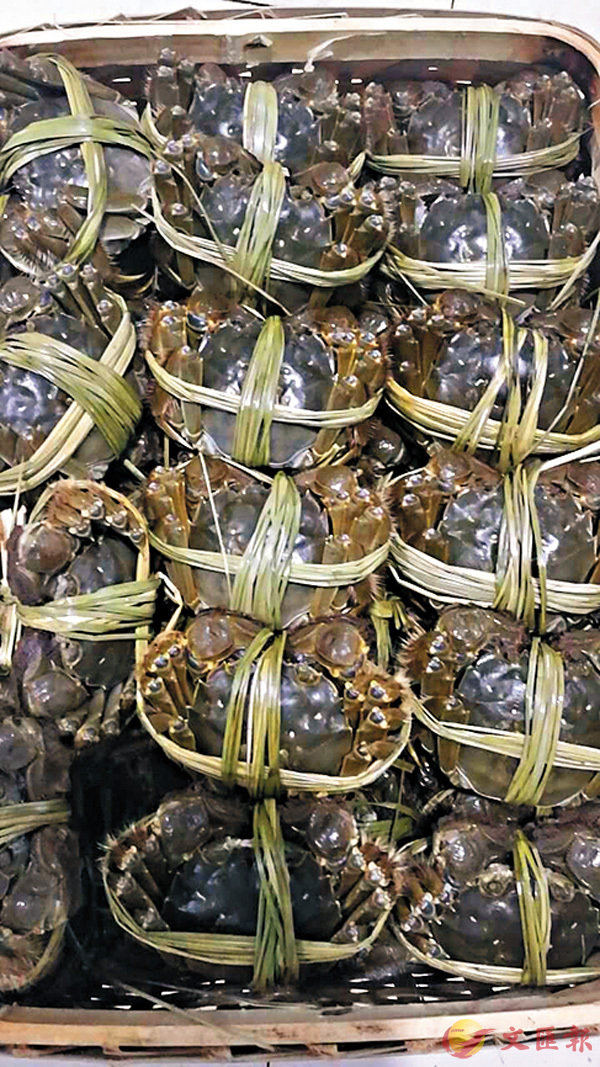 ���ѩ��˴��зǰ��D�A�h�~�j�h�ɻݩ���Ѵ�C��ƹϤ�