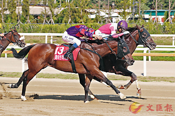 �i�u�Ťѳ����v�]��13���^�Q��X������u�~�A�Ъ��{�X��A�ȭt��u��h�Žաv�Ӷ]��ȭx�C