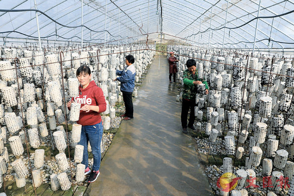 ������F��e���i���i��ĳ�n���y�ʥͧ�h�s���~�A�B�s���ӷ~�Ҧ��C�Ϭ��e�_�٥��s���Y�A�~�o�i���q�䤤�@�����~�@���C   �s�ت�