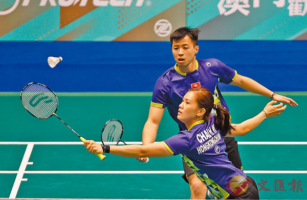 �����ʺ�/�P�͵ء]�e�^�ʯŲV���M�ɡC �s�ت�