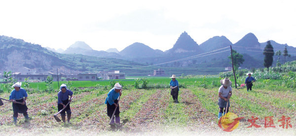 ���u�Ĥ����v�X�@���������̦b���z�����ġC     �����׳��O�̩P�ȩ� ��