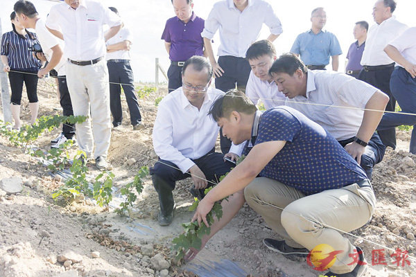 ������F��`�e���a�`�]�e�ƥ��@�^�b�P�߿�������ɳ��P�U���[����شӰ�a�C�����׳���L�ǯu