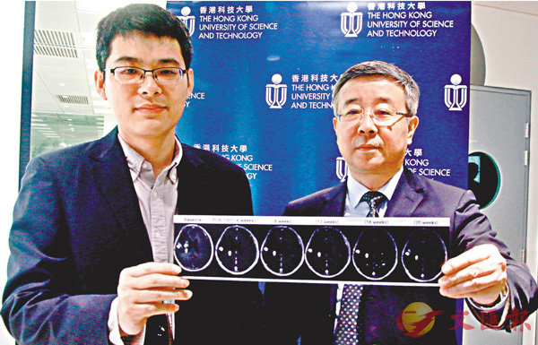 ■科大王吉光（左）與天壇醫院江濤發佈研究成果。 香港文匯報記者彭子文  攝