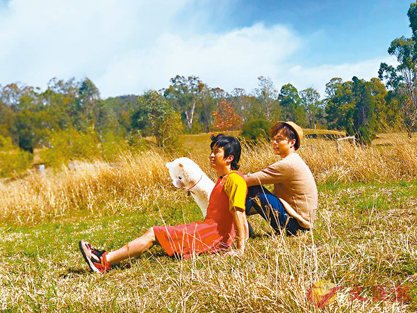 ���a�J½�ۡm�ƹs�P�n�D�D���C