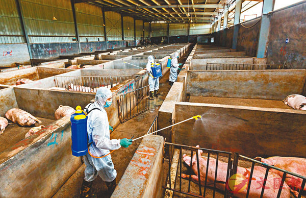 ���s�F�o�{���ҫD�w�޽E�C�Ϭ������پi�޳��Ҧ���r�C   ���W�Ϥ�