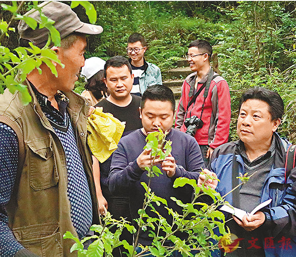 ���L�ݡ]�ϥk�^16�~�Ӱ����b�P�����~�ҹ�C�Ϭ��L�ݦb�Q�{���������j�l�����~�ҹ�C ���X�̨ѹ�