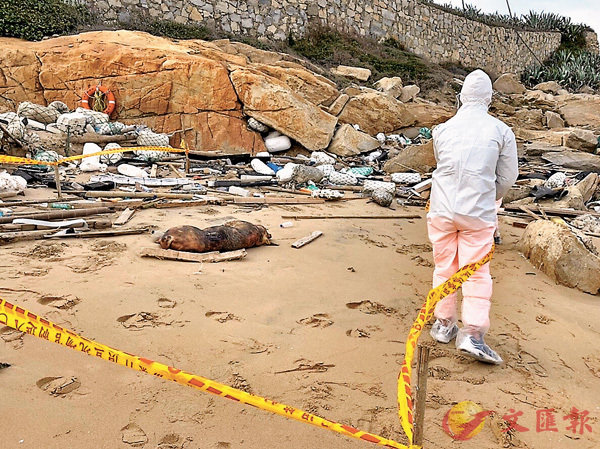 �����^��Q��o���͸ܮɥH�D�w�޽E��ĳ�D�ٶ¤j���c�N���@�C�Ϭ��x�W���������p��������p�ĤE�]�����^��������e�b���F���ЮH���ڨF�y�o�{�@�����`�ް��A�H�Y�b�{���]����u�C ������