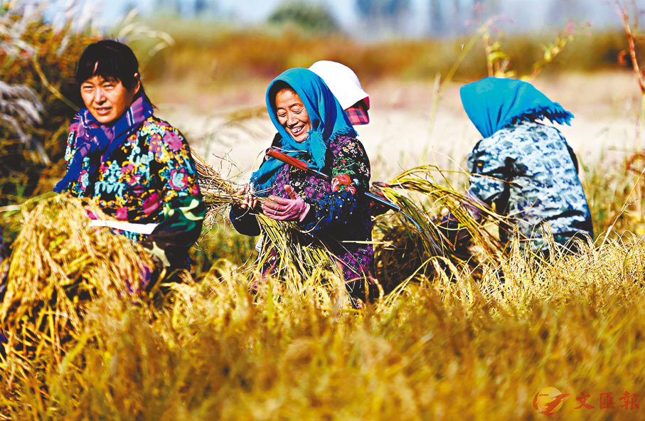 �����s�����`���u�誺�u���`�j�̡v���~�w�������a���@�i�W���C�Ϭ����`³�A�b���Τ��_�C    ��ƹϤ�