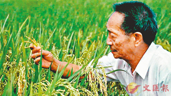 ���u������_�����v�B����u�{�|�|�h�K���� ���W�Ϥ�