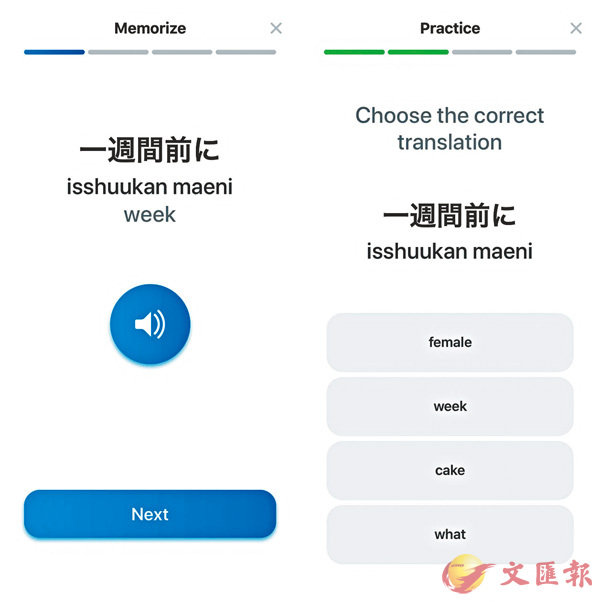 iTranslate Lingo App