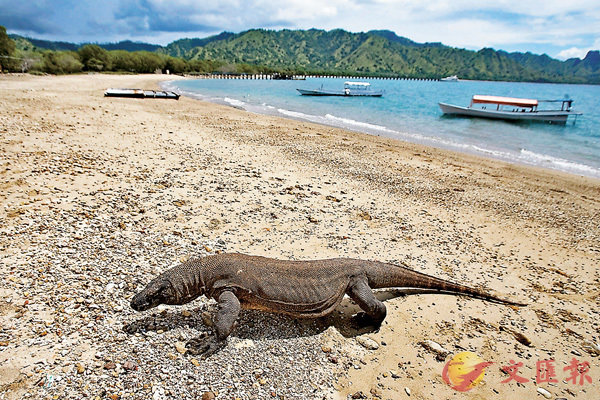 ���L������h�q