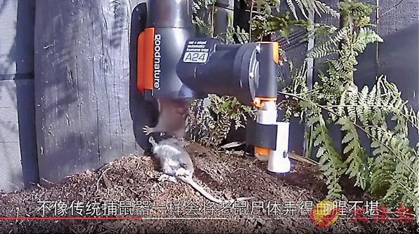 �����ѹ��Q��l�ި��i�u�����������v�ɡA�K�|�Ұʮ�j��e�̥����C ���W�Ϥ�