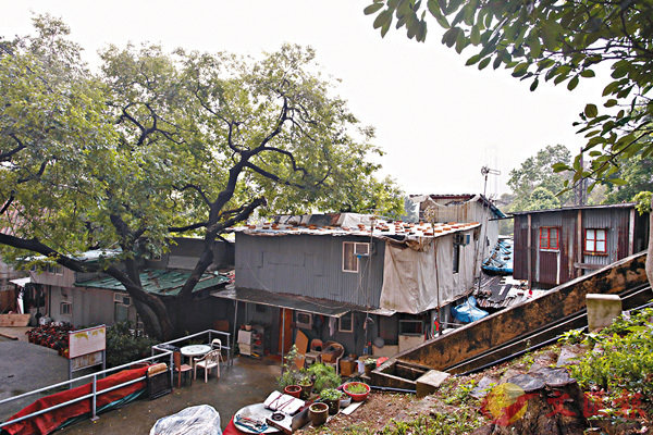 ���o�i���Ҽ{��F�E�s�d�ΰϧ@�X�����W���C ��ƹϤ�