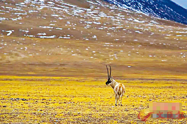 ���ʶ����òܦϡC ���W�Ϥ�