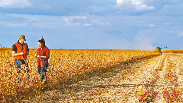 YTԫANɭP賡X{A}C WϤ