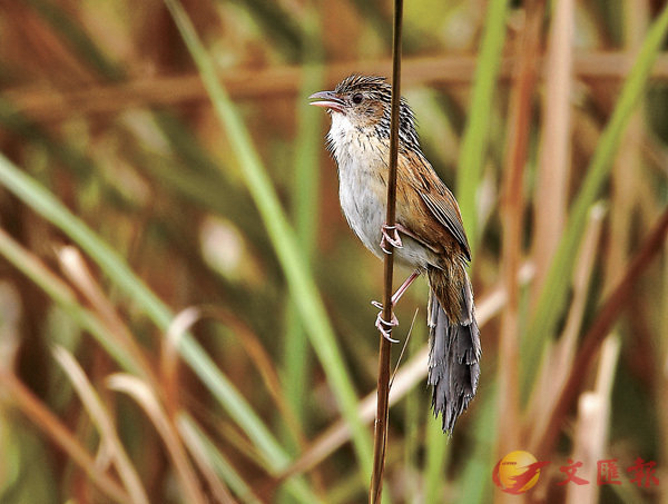 �j���a�C �����[���|�L�ΤѨѹ�