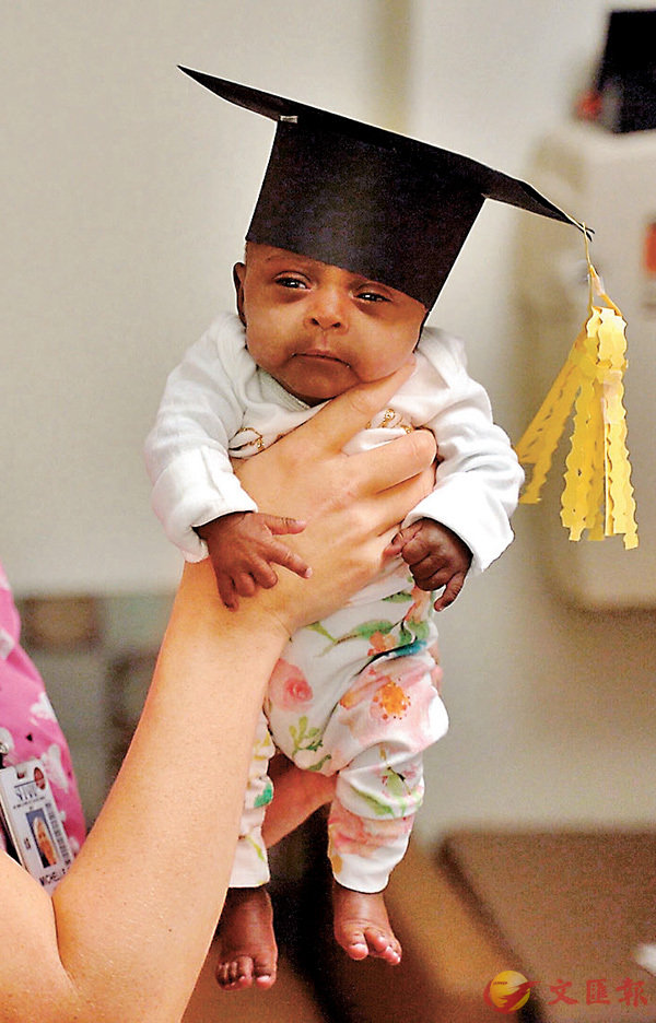 �����@�H����������W�p���~�U�C  �k�s��