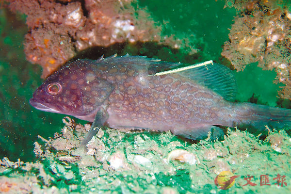 �w��y�δӤJ�~�m��Ƽ��Ҫ������A�������Ҭ��i��l�ܺʹ�ΡC