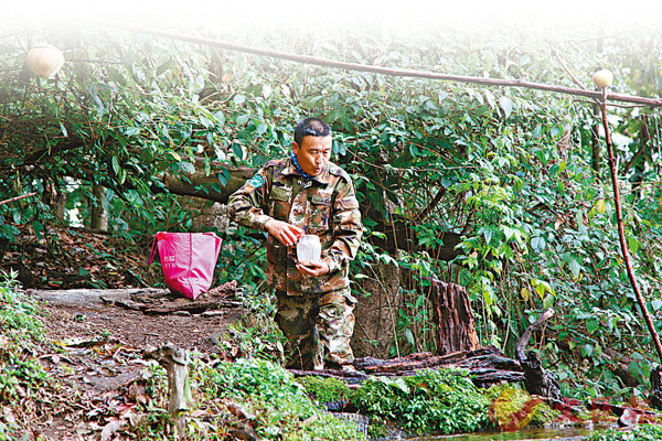 �����I���G���f���ʳ��C  �����׳��O�̤B��i ��