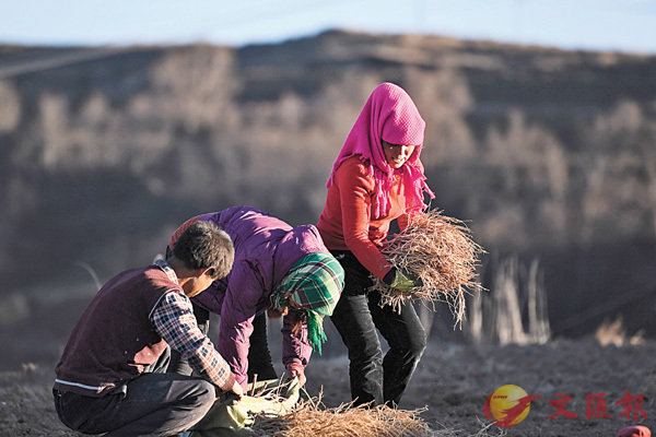 �� ��~�ӡA���ꤤ�ħ��D���Ϥ��@���̵¬٤j�O�o�i�����Ĳ��~�A�̵¦h�ӳh�x���N���ħ��شӧ@����h�W�����ةΥD�ɲ��~�C�Ϭ��̵©w��A���ī��ħ��C �s�ت�