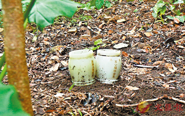 �����ǬؤW�観�ױӤҰ����W�r�C