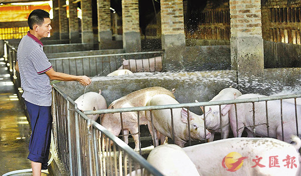 ���s�F���X�x�u�ޤQ���v�H�O�٥ͽޥ��������C�Ϭ��s�F�H�y�@�Ӿi�޳����A�i�ޤ�b���ިR�D�C ��ƹϤ�