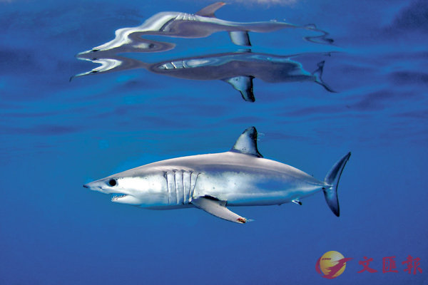 �����J�T