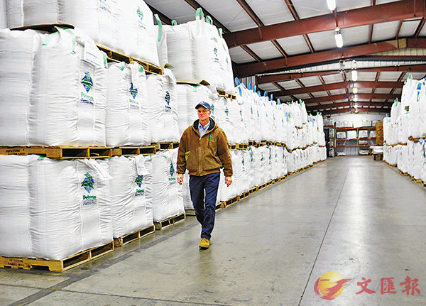 ■中方近日表示，將對採購部分美農產品予以加徵關稅排除；大豆與豬肉也包括在此次加徵關稅排除內。圖為美國一名工作人員走在一個裝袋大豆倉庫裡。 資料圖片