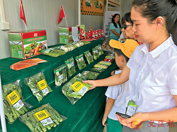 ���C�@�妸���泣���ߤ@���G���X�C�Ϭ��@�W�u�@�H���i�ܤ@�U����C �����׳��O�̱αӽ�  ��