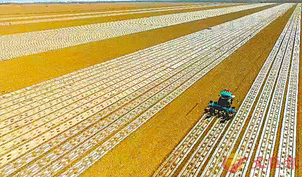 ���M�֧�����ƳW�ҤƸg��A�@���C ���X�̨ѹ�