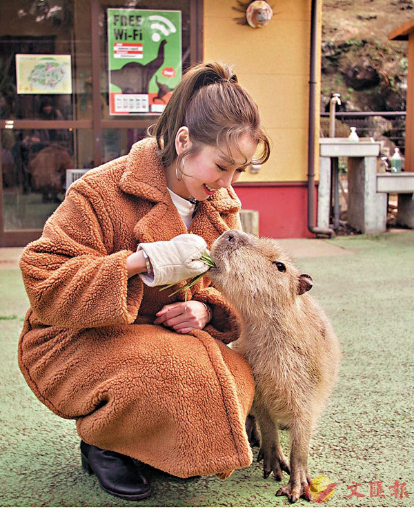 ��������