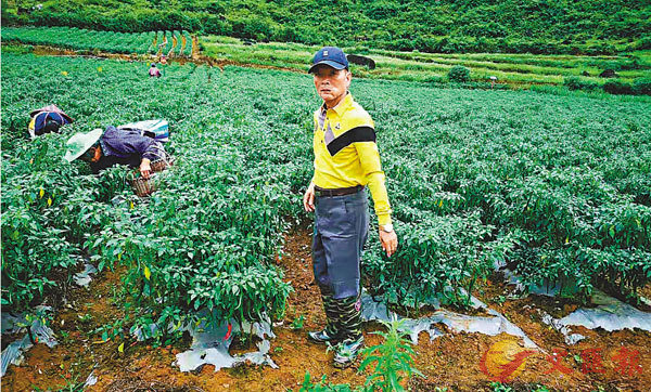 �����[�ݦb�ѵ������y���u���l�⩤�g�T��ƦX�@�P�m�������ܽd��a�v�C �����׳��s��ǯu