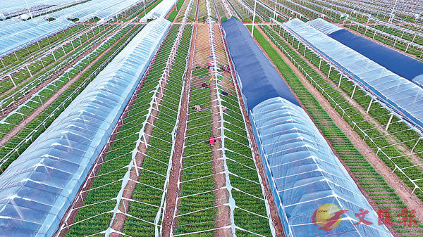 mNnXA2035~A갪зǹAЫOqi@BCϬsFٲ᫰AAӦέCƹϤ