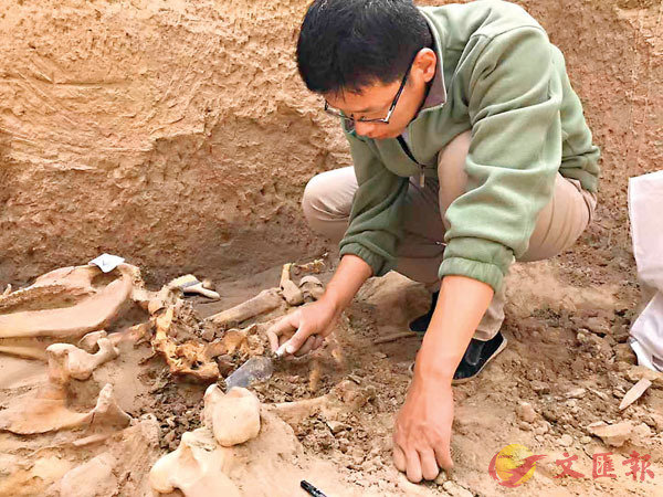 ���J�I���Ѯv�г��ҥj�u�@��