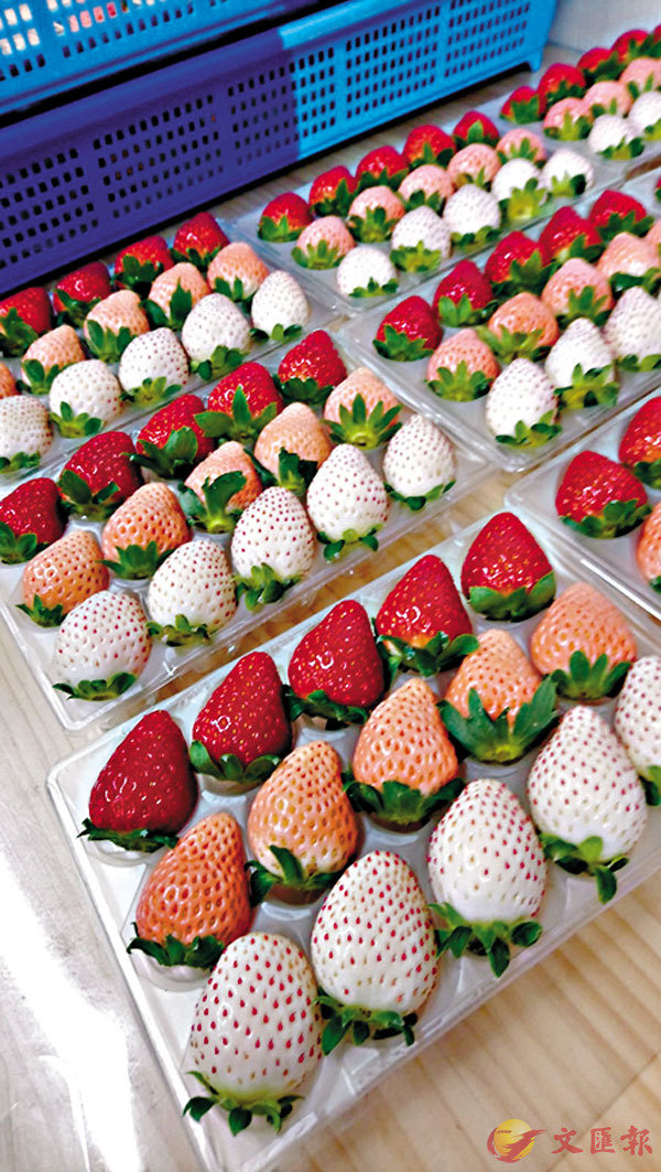 ��3��h�h���