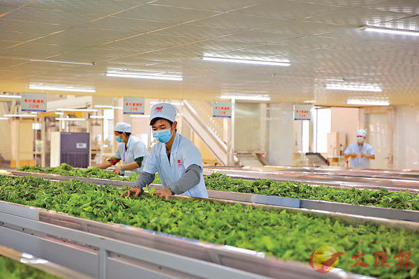 ���u�^�w�����v�شӭ��n�q2015�~��8�U�a�W�ܥثe��13�U�a�A�Ϭ������[�u�s�@���ɡC �����׳��O�̤�T��  ��