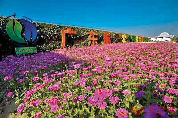 ���s�F��ѹA�~�Ŧ~�غ[2019�~��ù���A�@���s�~�خi�ܷ|�j���[���w��C ���W�Ϥ�