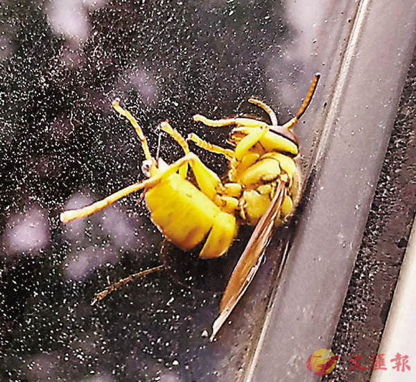 ���@���H������|�������Q�u�N�a���k�v�C