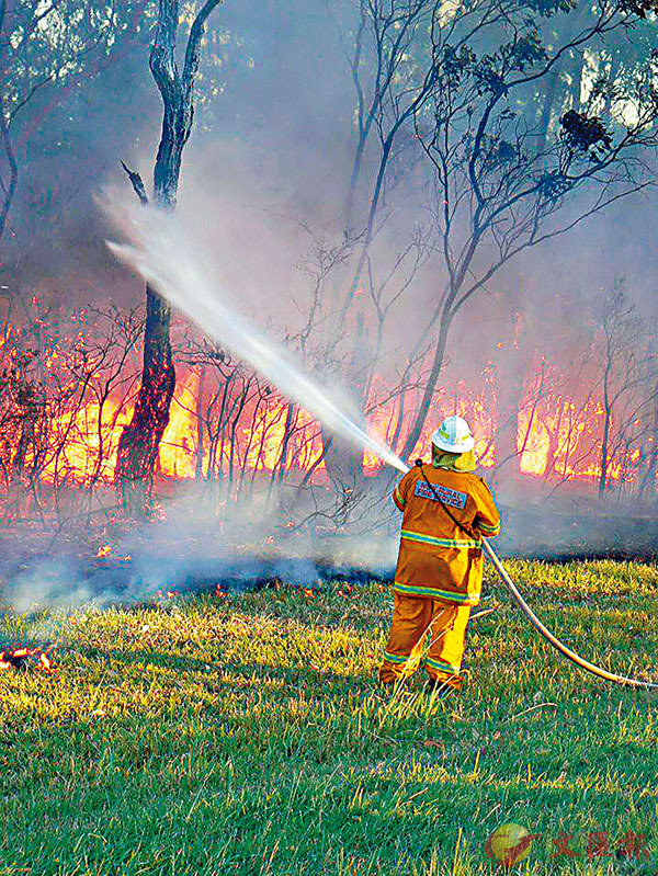 ■ 澳洲山火已持續多月。 資料圖片