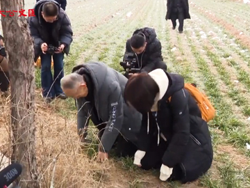 86歲台灣老兵�G72年來首次向父母磕頭拜年 