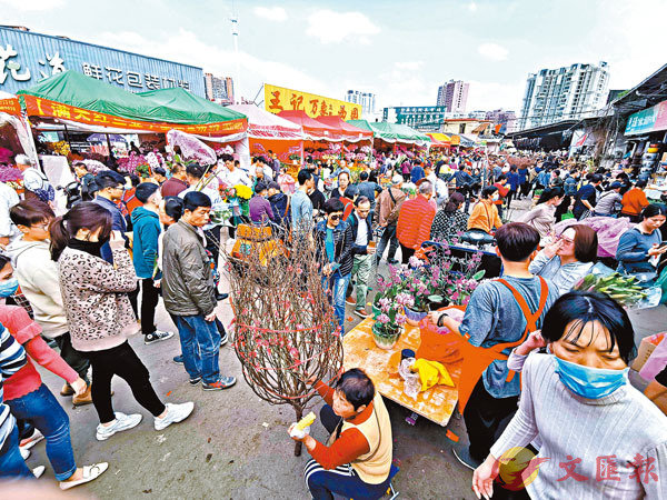 ■今年在廣州花卉市場購買年花的民眾並未因疫情而減少。 香港文匯報記者帥誠 攝