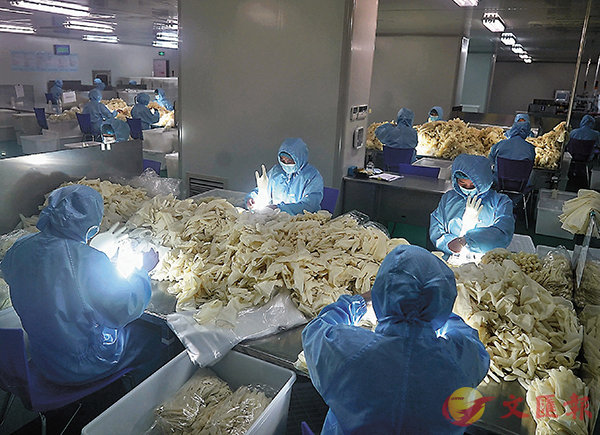 XALaϦǱʫ_`ͲCϬĬnʬYutuH[Z[IͲΤMC sت