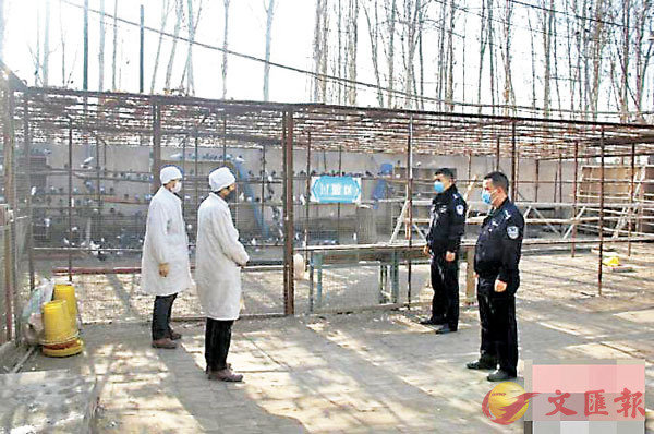 ���M�a���ܡA���Ͱʪ����~���j��Q�C�Ϭ��sæ�F�������w���˪L���X�ҥ�ĵ���e�}�i���Ͱʪ��i�޳��Ҭ̯f�ʱ��ˬd�C ���W�Ϥ�