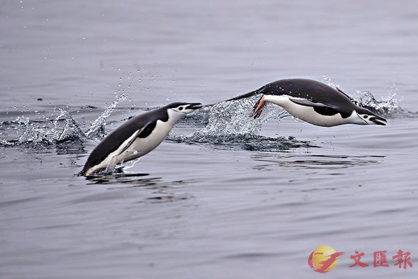 �� �U�a���Z